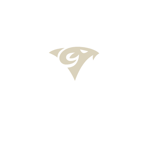 Inversiones Taintejuin